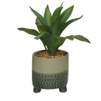 An Image of Small Grey Pot Plant