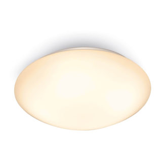 An Image of Dion 13W Warm White 25cm Flush Light