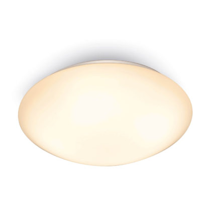 An Image of Dion 13W Warm White 25cm Flush Light