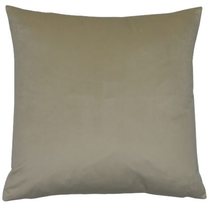 An Image of Opulent Velvet Cushion - Platinum - 50x50cm