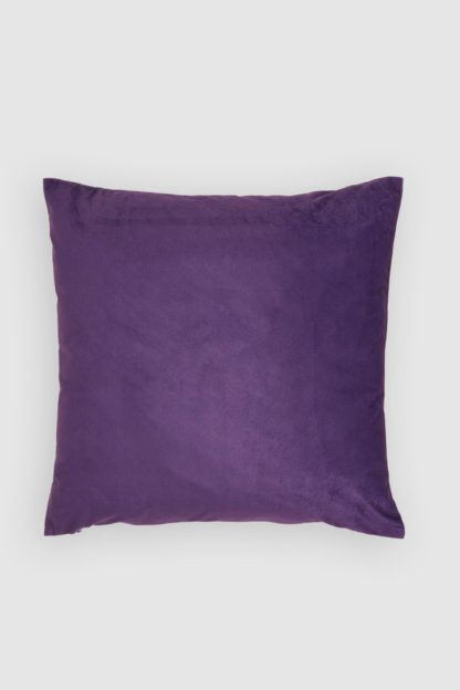 An Image of Velvet Cushion