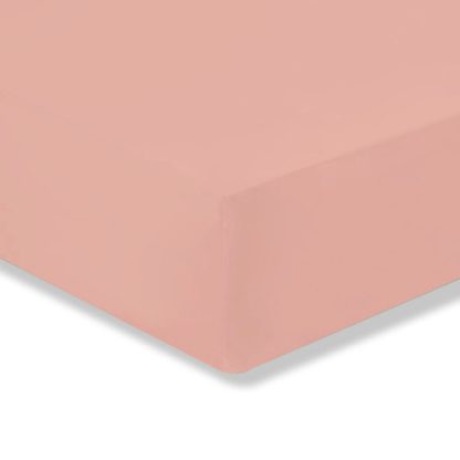 An Image of Fogarty Anti-Allergy Fitted Sheet White