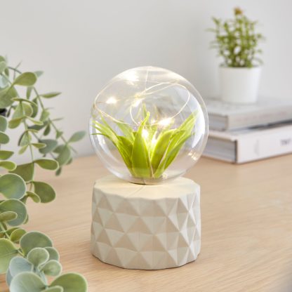 An Image of Faux Terrarium Geometric Battery Lamp Grey