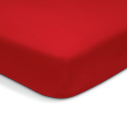 An Image of Habitat Brushed Cotton Red Fitted Sheet - Single