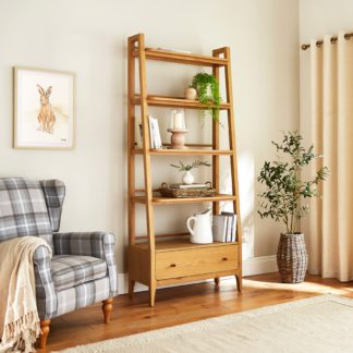 An Image of Walton Ladder Bookcase Light Oak