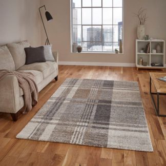 An Image of Beige and Grey Elegant 4892 Rug