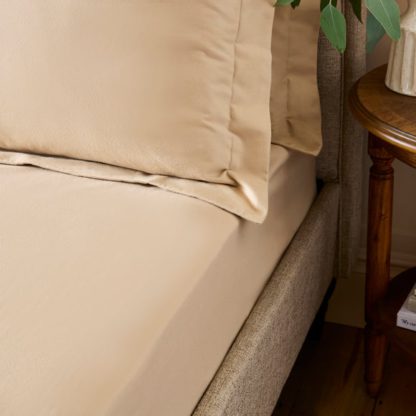 An Image of Dorma Premium Brushed Cotton Fitted Sheet